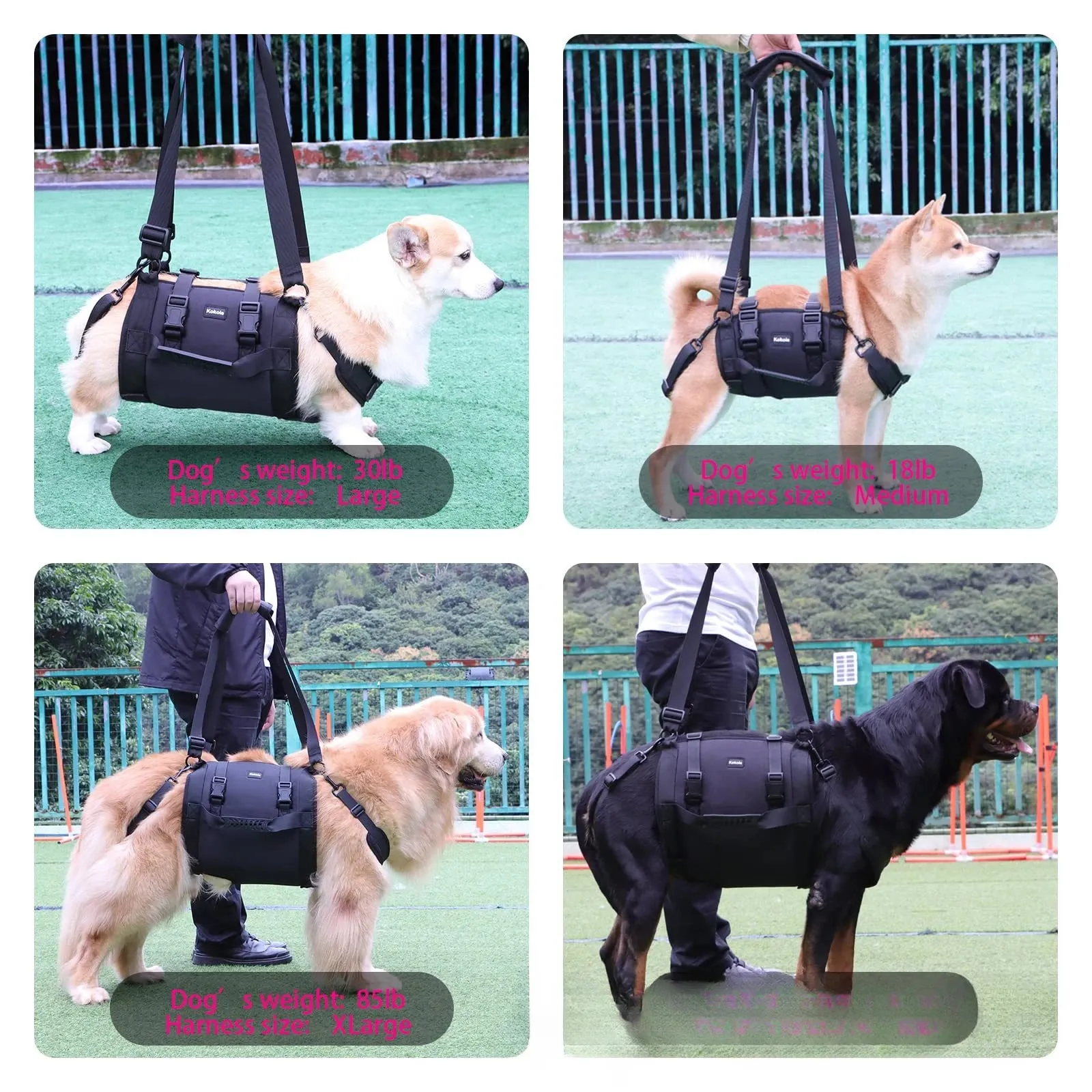 Support Harness for Dogs with Mobility Issues - Adjustable, Comfortable, and Durable