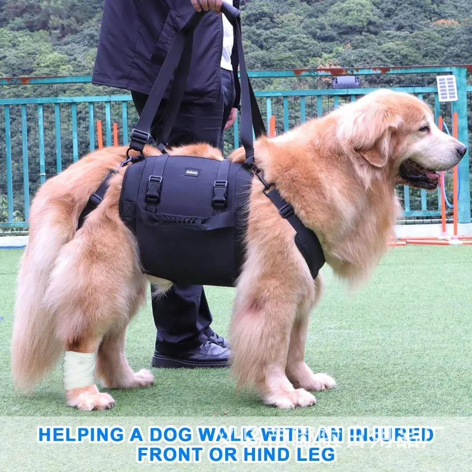 Support Harness for Dogs with Mobility Issues - Adjustable, Comfortable, and Durable