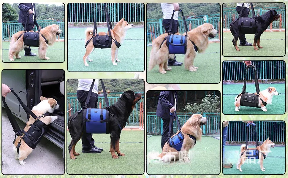 Support Harness for Dogs with Mobility Issues - Adjustable, Comfortable, and Durable