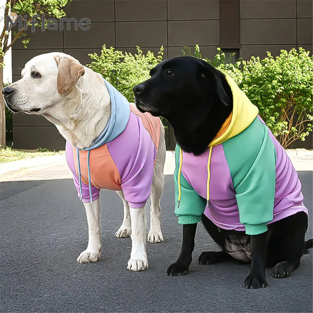 Sweet Style Candy Color Pullover Hoodie For Dogs