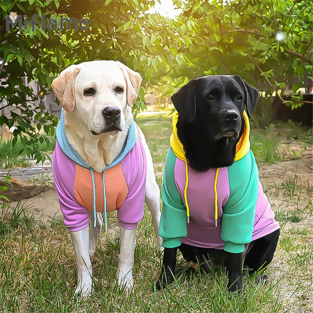 Sweet Style Candy Color Pullover Hoodie For Dogs