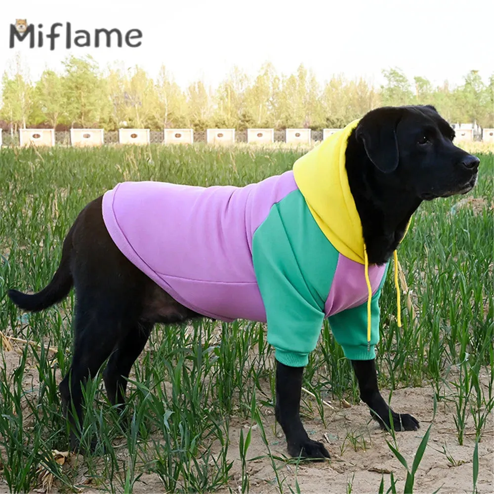 Sweet Style Candy Color Pullover Hoodie For Dogs