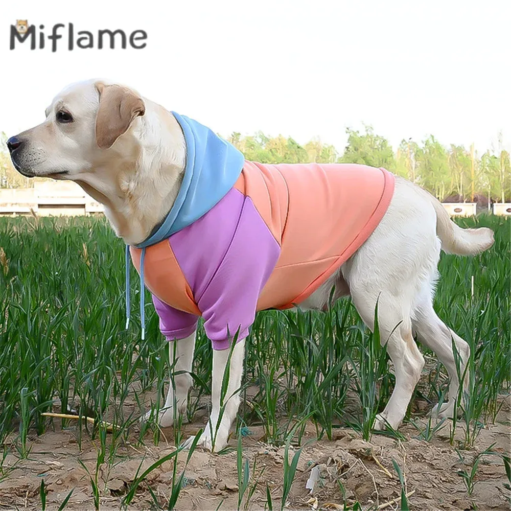 Sweet Style Candy Color Pullover Hoodie For Dogs