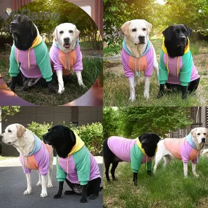 Sweet Style Candy Color Pullover Hoodie For Dogs