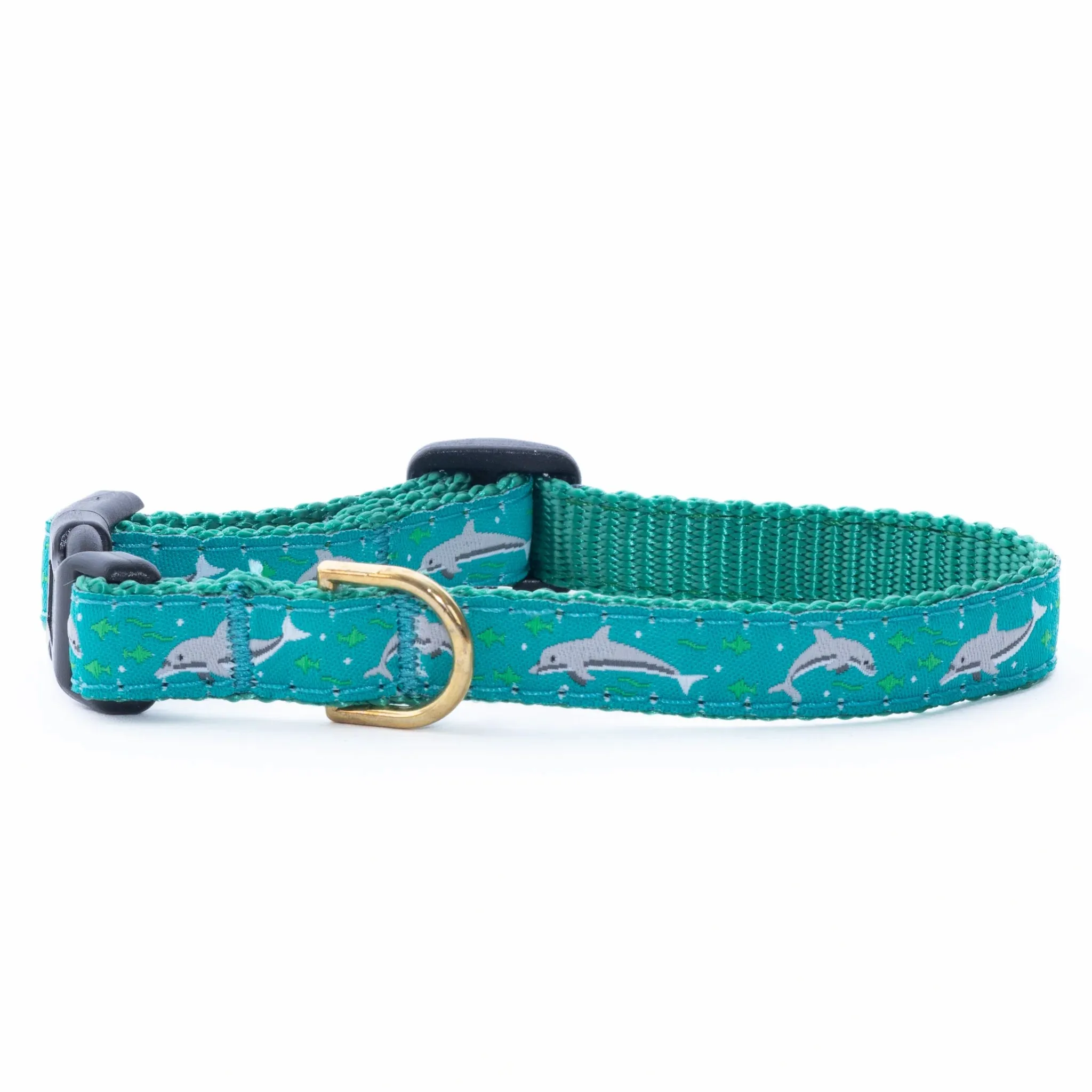 Teacup Collar | Dolphins