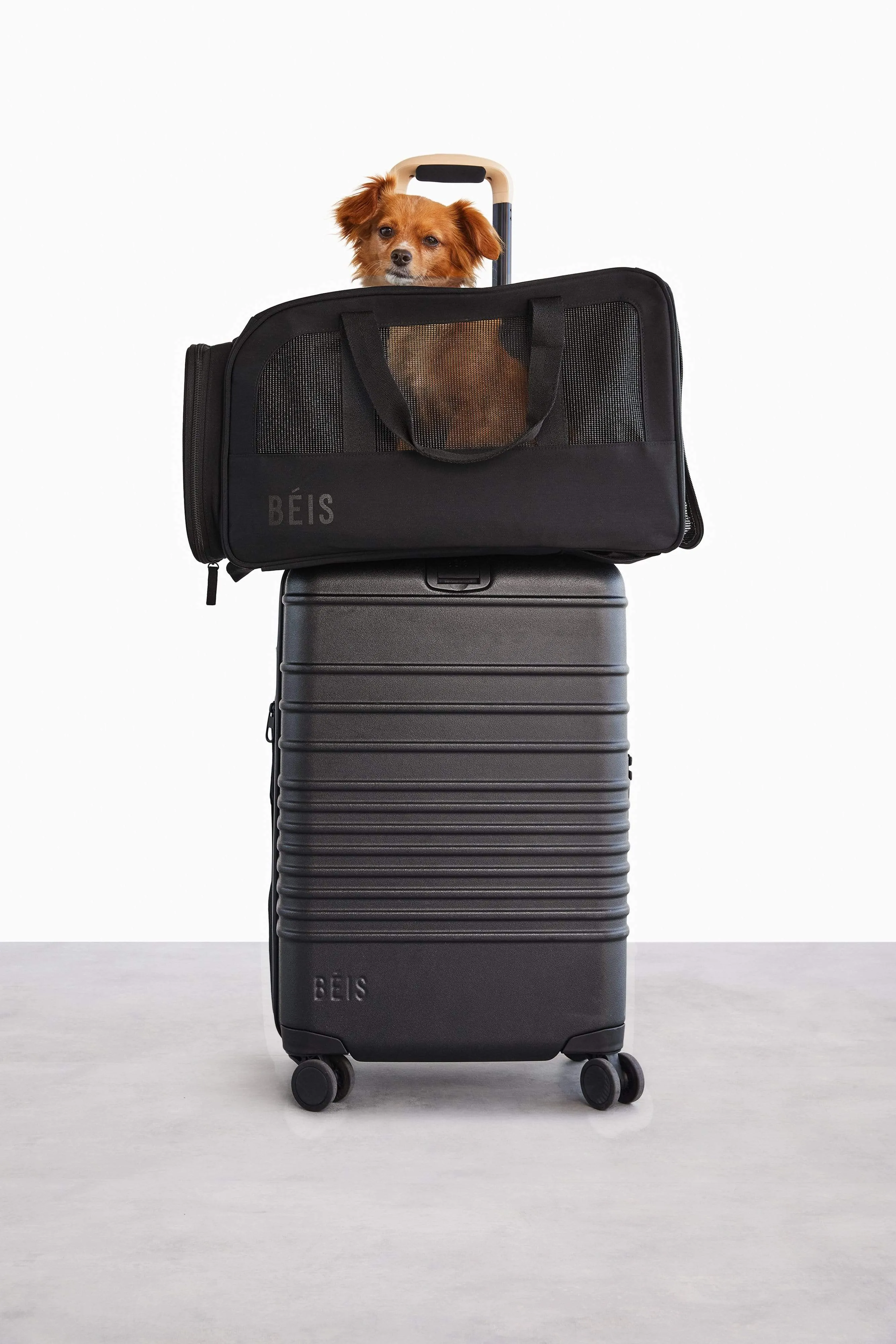 The Regulation Pet Carry-on in Black